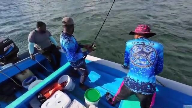 Двенадцатичасовой выход в море у берегов Тринидада