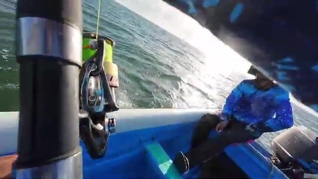 Двенадцатичасовой выход в море у берегов Тринидада