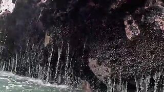 Дневная ловля кабрильи и трамбойо на скалах в Барранке