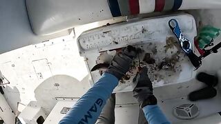 Первый спинорог в заливе Тринидада при донной ловле