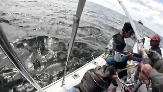 Первый спинорог в заливе Тринидада при донной ловле