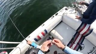 Первый спинорог в заливе Тринидада при донной ловле