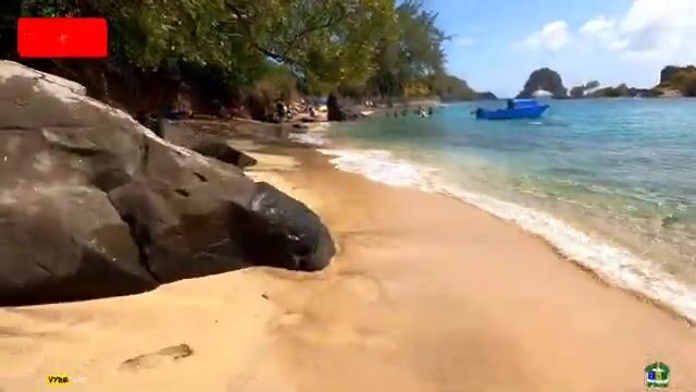 Подводная охота на снэппера в Indian Bay на Сент-Винсенте
