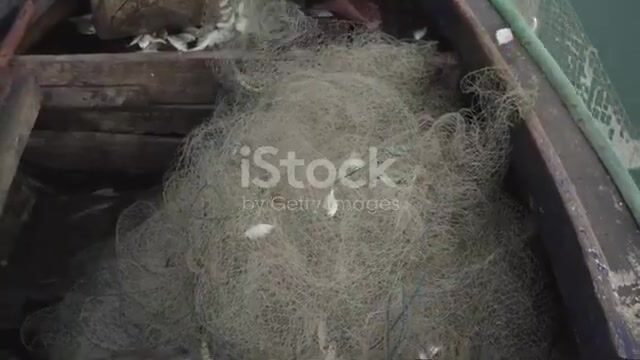 Сейновый промысел у Сент-Винсента и Гренадин