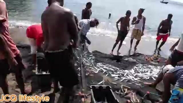 Помог вытянуть невод и увидел летучую рыбу на пляже Сент-Винсента