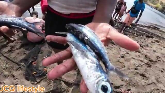 Помог вытянуть невод и увидел летучую рыбу на пляже Сент-Винсента