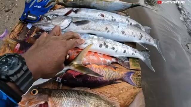 Подводная охота на барракуду в Барруалли на Сент-Винсенте