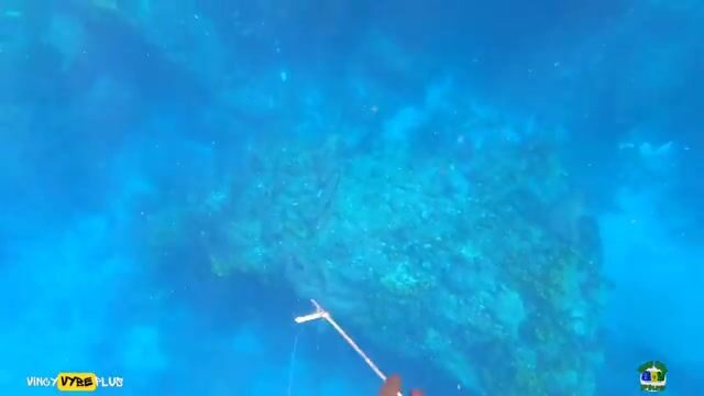 Семейный обед из улова после подводной охоты у Рок-Форта на Сент-Винсенте