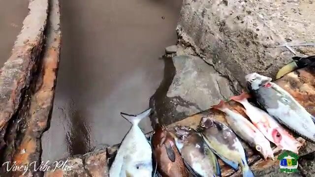 Подводная охота с перерывом на манго у побережья Сент-Винсента