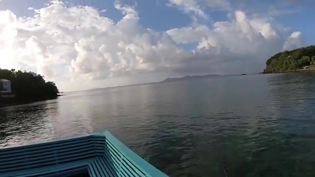 Групер, желтый каранкс и рыба-ящерица у отеля Mariners на Сент-Винсенте