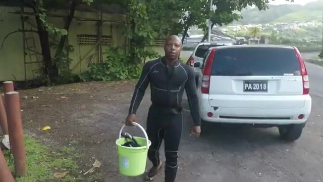 Подводная охота на каранкса у берегов Доминики