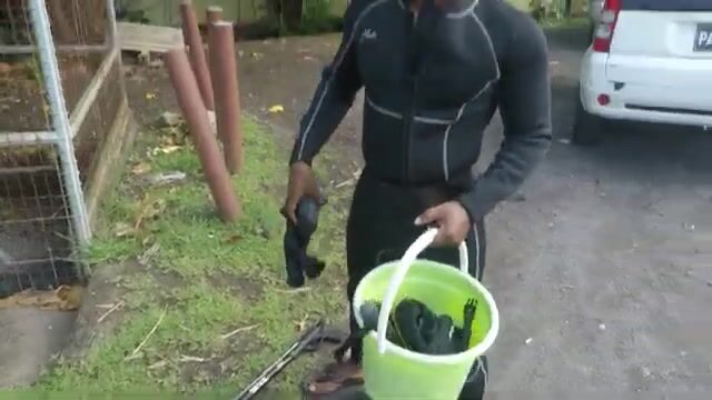 Подводная охота на каранкса у берегов Доминики