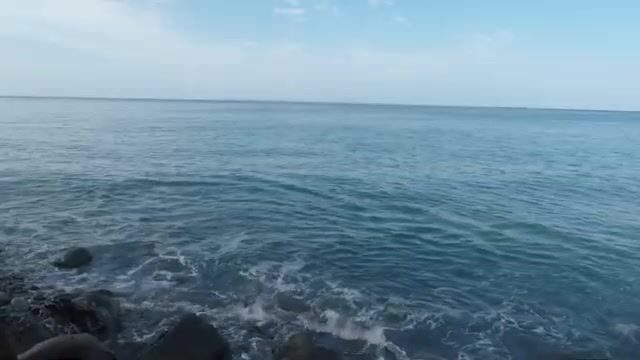 Подводная охота на каранкса у берегов Доминики