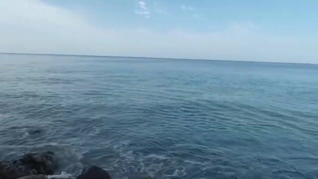 Подводная охота на каранкса у берегов Доминики