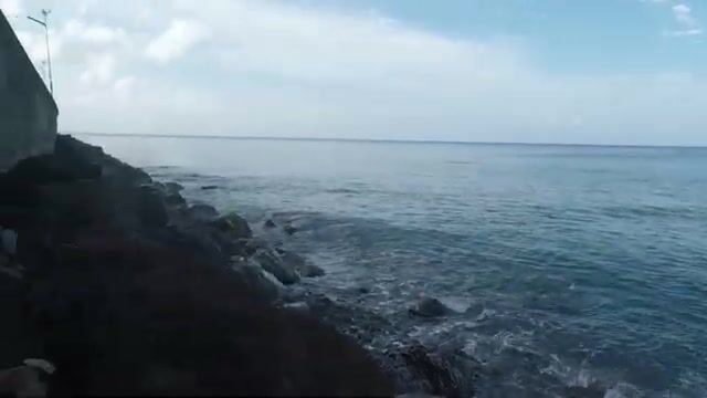 Подводная охота на каранкса у берегов Доминики