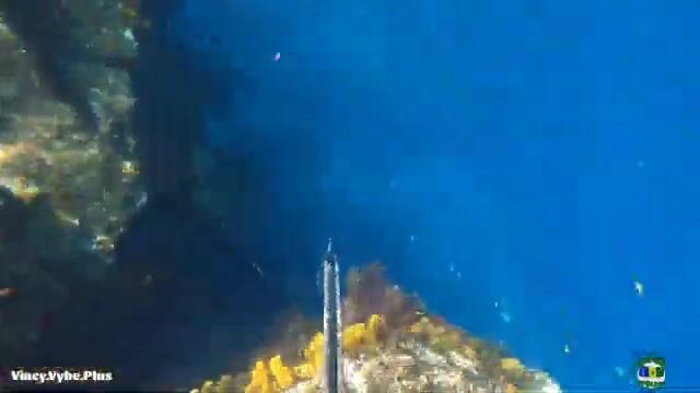Пять рыб за пять часов одиночной подводной охоты на Сент-Винсенте