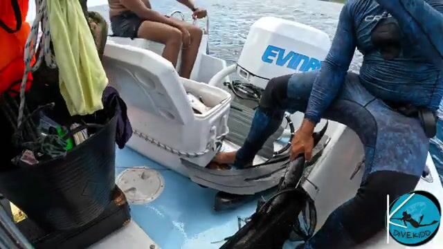 Подводная охота на лангустов и рифовую рыбу у Сен-Мартена