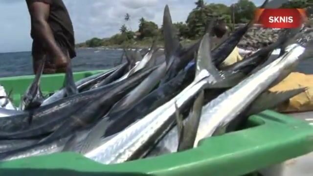 Рыбаки рассказали о FAD и нехватке хранилищ на встрече в Сент-Китсе