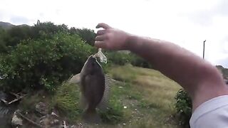 Небольшой тарпон в канале у дороги и сход более крупной рыбы на Сен-Мартене