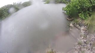 Небольшой тарпон в канале у дороги и сход более крупной рыбы на Сен-Мартене