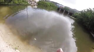 Небольшой тарпон в канале у дороги и сход более крупной рыбы на Сен-Мартене