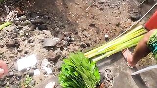 У рифа Самоа рыбу достали после появления акулы