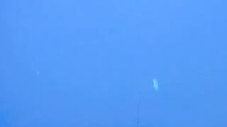Майкл подстрелил скумбрию и перешел на мелководный риф Самоа после появления акул