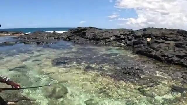 Синеперый каранкс Нико и завершение ловли из-за грозы на Самоа