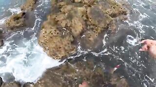 Барабулька на самодельную удочку из метлы на Самоа