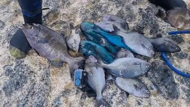 Подводная охота на острове Эуа в Тонга