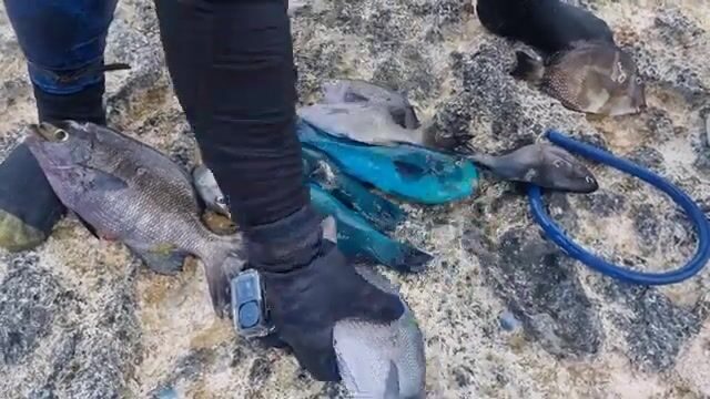 Подводная охота на острове Эуа в Тонга
