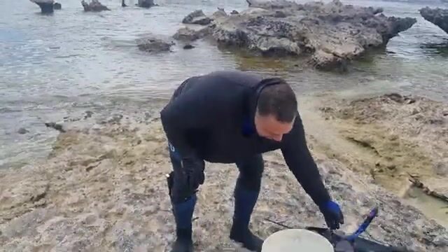 Подводная охота на острове Эуа в Тонга