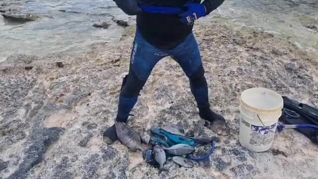 Подводная охота на острове Эуа в Тонга