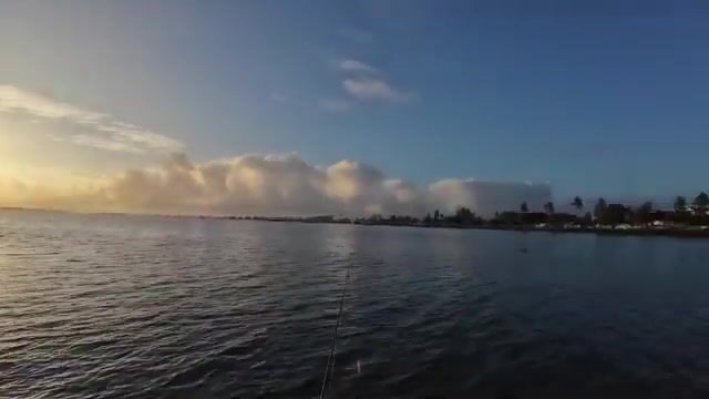 Утренняя барракуда и каранксы на поверхностные приманки у рифа Тонги
