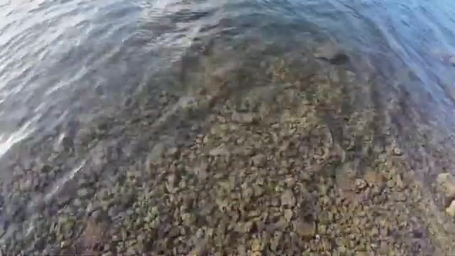 Утренняя барракуда и каранксы на поверхностные приманки у рифа Тонги