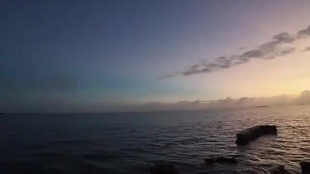 Утренняя барракуда и каранксы на поверхностные приманки у рифа Тонги