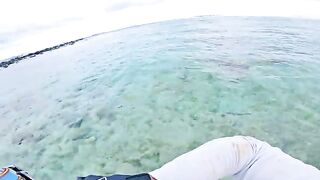 Крупная морская рыба взяла желто-зеленую приманку и ушла обратно в воду на Самоа