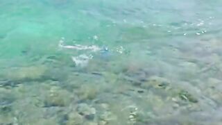 Крупная морская рыба взяла желто-зеленую приманку и ушла обратно в воду на Самоа
