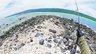 Крупная морская рыба взяла желто-зеленую приманку и ушла обратно в воду на Самоа