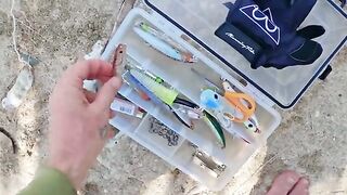 Крупная морская рыба взяла желто-зеленую приманку и ушла обратно в воду на Самоа