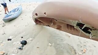 Крупная морская рыба взяла желто-зеленую приманку и ушла обратно в воду на Самоа