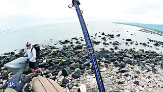Крупная морская рыба взяла желто-зеленую приманку и ушла обратно в воду на Самоа