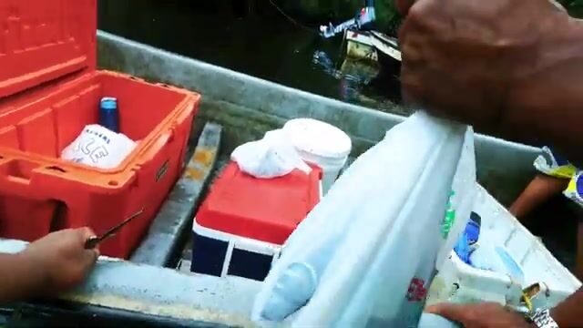 Ожидание отлива при сетевой ловле у мангров Понпеи в Микронезии
