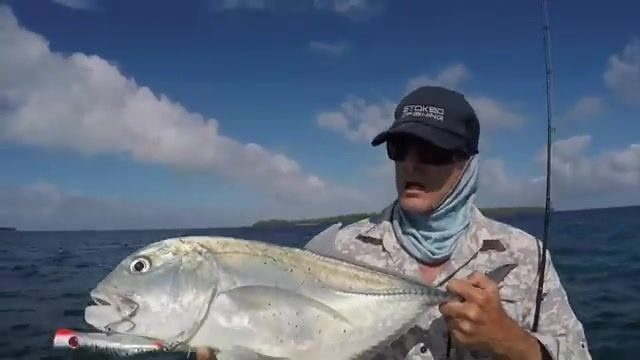 Небольшой гигантский каранкс на поппер в водах королевства Тонга