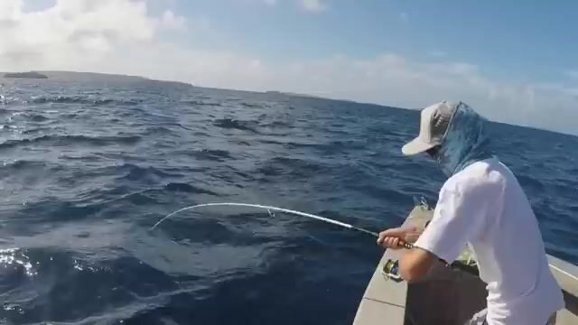 Небольшой гигантский каранкс на поппер в водах королевства Тонга