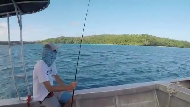 Небольшой гигантский каранкс на поппер в водах королевства Тонга
