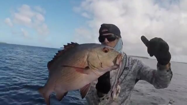 Небольшой гигантский каранкс на поппер в водах королевства Тонга