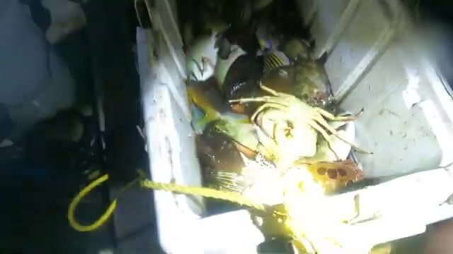 Четверговая рыбалка у острова Понпеи в Микронезии