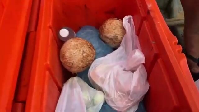 Четверговая рыбалка у острова Понпеи в Микронезии