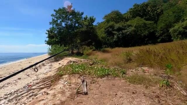 Тёмная полосатая рыба в мутной воде у побережья Восточного Тимора